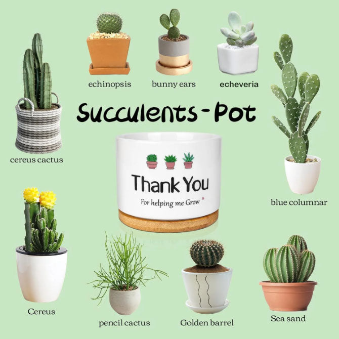 Giphtpoeet Appreciation Gift for Teacher & Mom, Ceramic Succulent Plant Pots with Drainage Hole, Home & Garden Decor