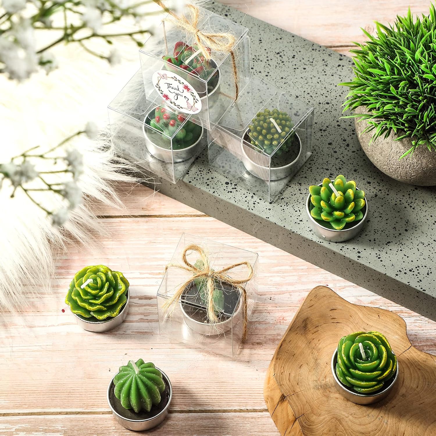 Giphtpoeet 30-Pack Succulent Cactus Tealight Candles Unscented Mini Plant-Shaped Candles for Home Decor & Gifts