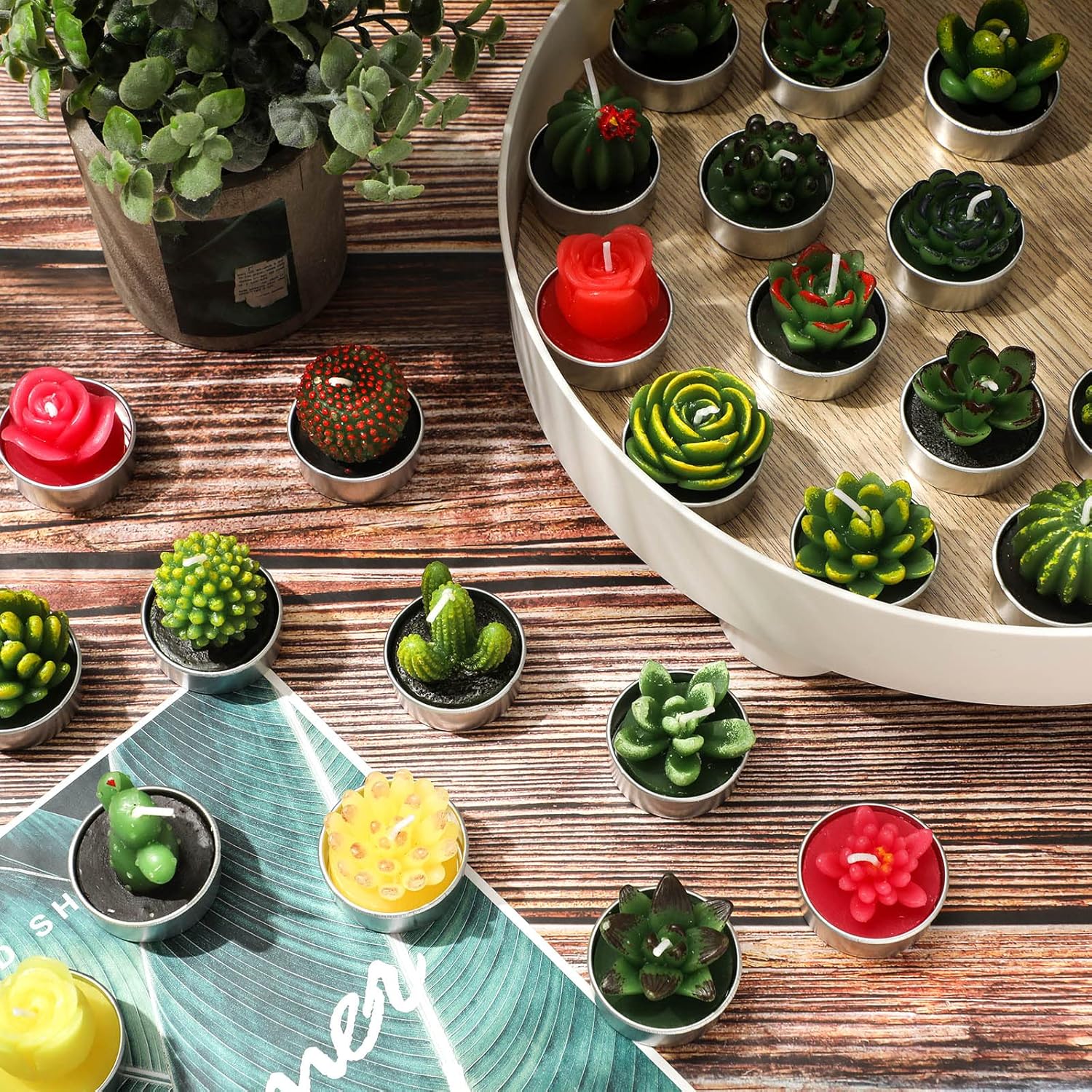 Giphtpoeet 30-Pack Succulent Cactus Tealight Candles Unscented Mini Plant-Shaped Candles for Home Decor & Gifts