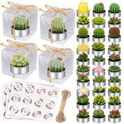 Giphtpoeet 30-Pack Succulent Cactus Tealight Candles Unscented Mini Plant-Shaped Candles for Home Decor & Gifts